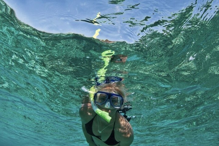 Frisky Mermaid Scenic Bay Cruise + Snorkeling Stop + Equipment - Photo 1 of 13